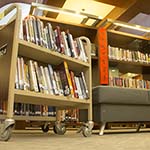 Library Carts (Library Story)